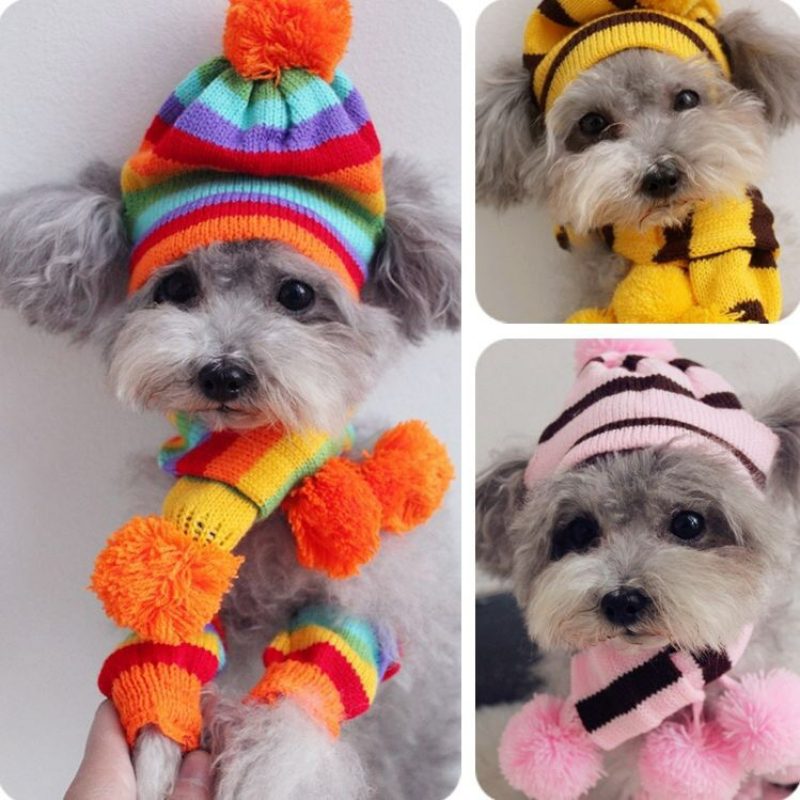 Rainbow Stripe Knitted Dog Win - огляд і ціна Winter Clothing Leg Warmers